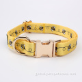 Pet Leashes best quality print design dog collars Supplier